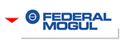 Federal Mogul CORPORATION International automotive (auto parts) tuning accessory