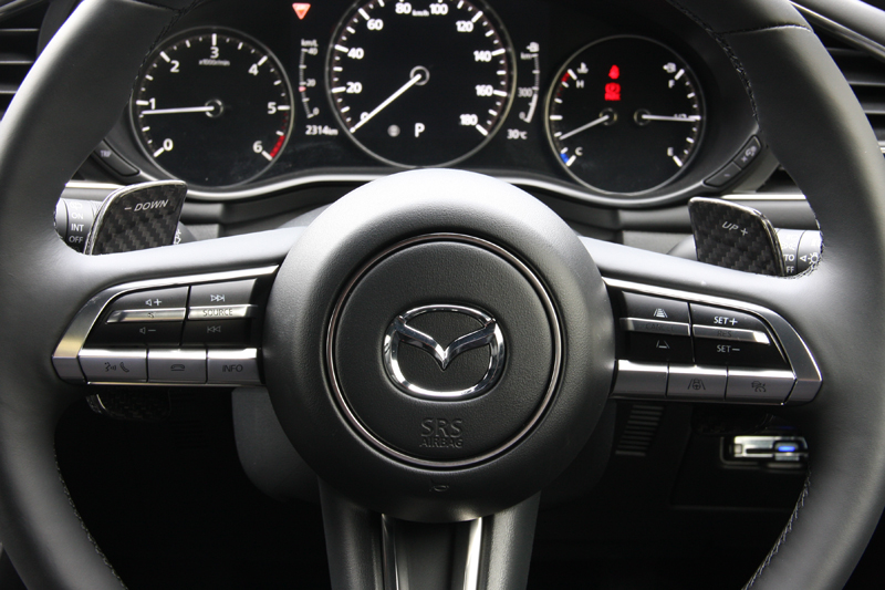 Mazda 萬事得馬自達 CX-30 AutoExe 碳纖維轉檔撥片貼