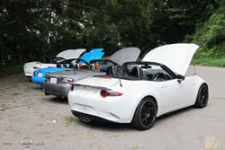 MAZDA| UƱo| ۹F MX-5 | ROADSTER | MIATA MDS qu,iHsMiata| MX-5GQ~]ptiC