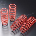 98-05 Miata [NB] AutoExe Lowering Spring Kit 