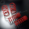 08-18 Biante [CC] AutoExe Lowering Spring Kit 