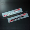 AutoExe Wave Logo Sticker  A1000002