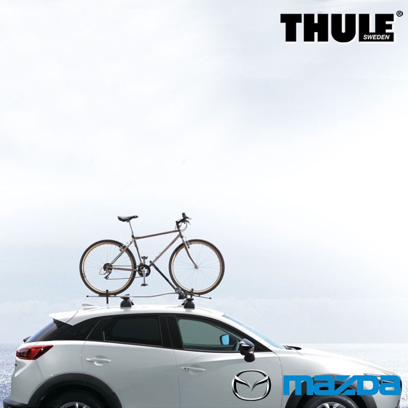 mazda 3 bike carrier